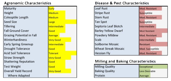 everest characteristics